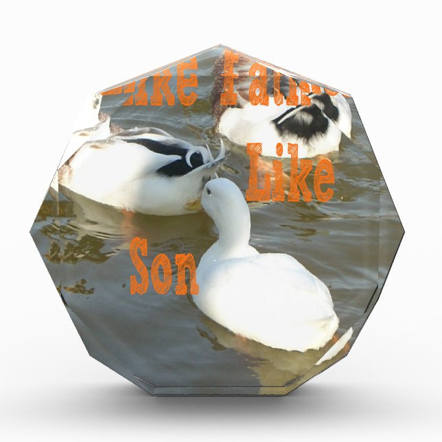 Like Father Like Son. Acrylic Award (Front)