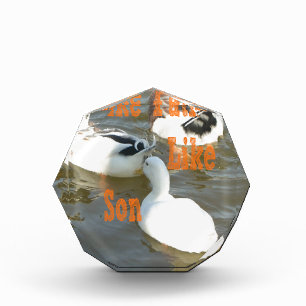 Like Father Like Son. Acrylic Award