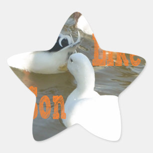 Like Father Like Son. Star Sticker