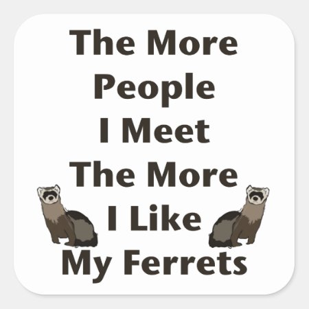Like My Ferrets Square Sticker
