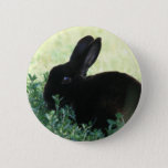 Lil Black Bunny Button at Zazzle