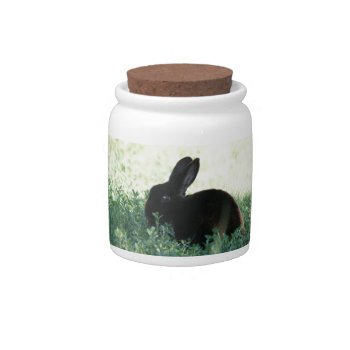 Lil Black Bunny Candy Jar by BuzBuzBuz at Zazzle