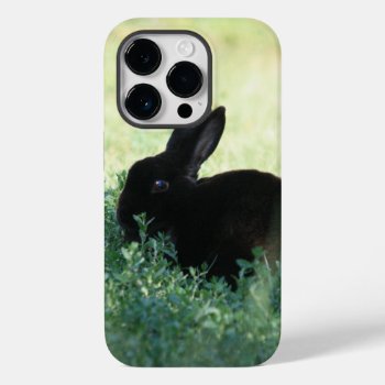 Lil Black Bunny Case-mate Iphone 14 Pro Case by BuzBuzBuz at Zazzle