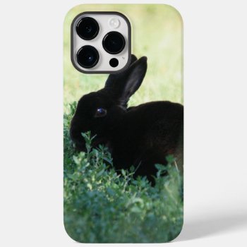 Lil Black Bunny Case-mate Iphone 14 Pro Max Case by BuzBuzBuz at Zazzle