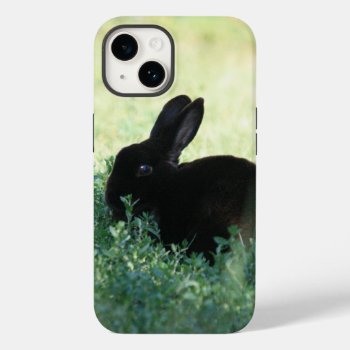 Lil Black Bunny Case-mate Iphone 14 Case by BuzBuzBuz at Zazzle