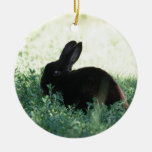 Lil Black Bunny Ceramic Ornament at Zazzle
