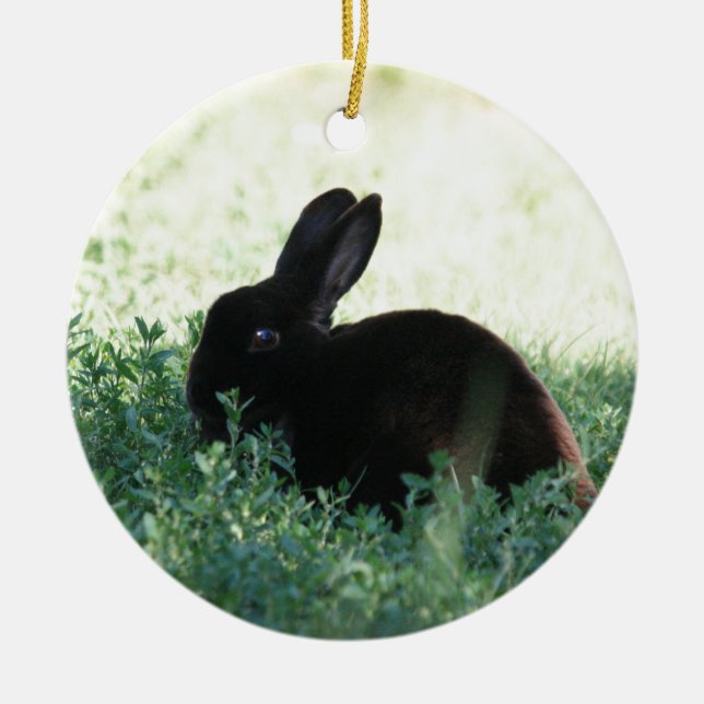 Lil Black Bunny Ceramic Ornament (Front)