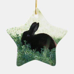 Lil Black Bunny Ceramic Ornament
