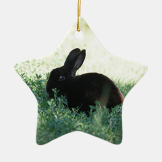 Lil Black Bunny Ceramic Ornament