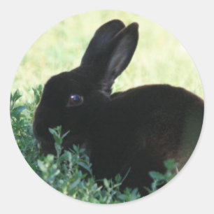 Lil Black Bunny Classic Round Sticker