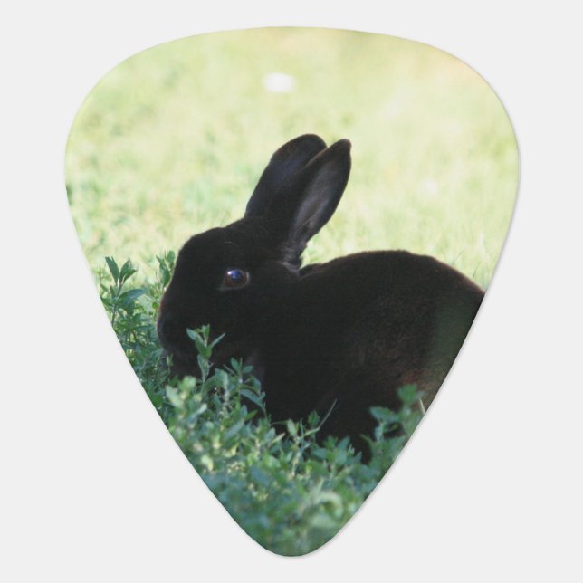 Lil Black Bunny Double Sided Guitar Pick (Front)