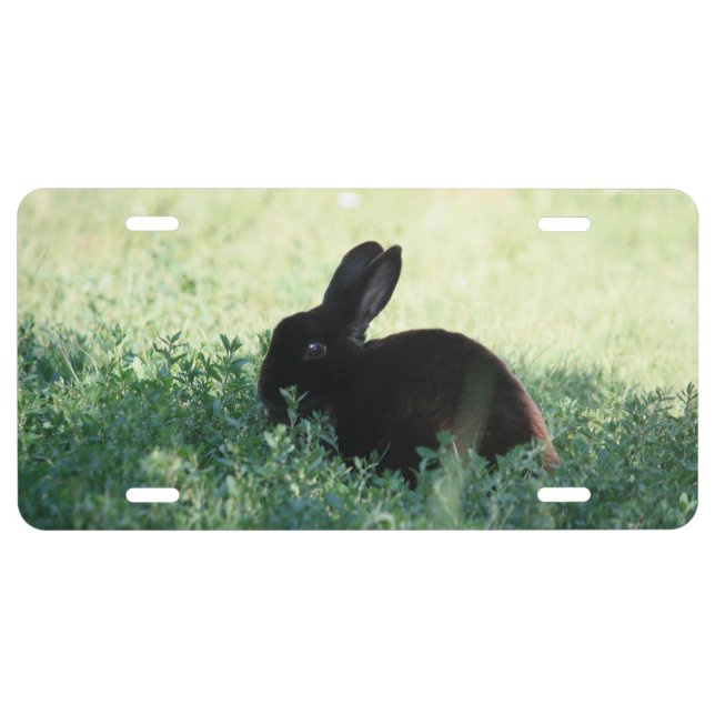 Lil Black Bunny License Plate (Front)