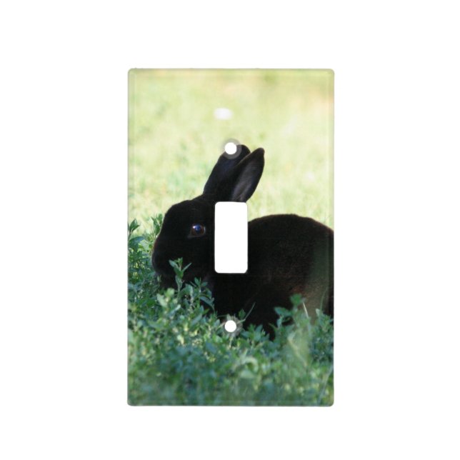 Lil Black Bunny Light Switch Cover (Front)