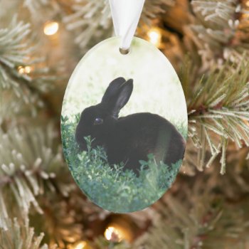 Lil Black Bunny Ornament by BuzBuzBuz at Zazzle