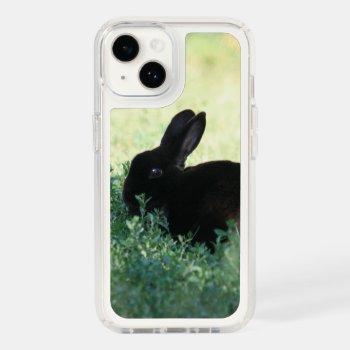 Lil Black Bunny Speck Iphone 14 Case by BuzBuzBuz at Zazzle