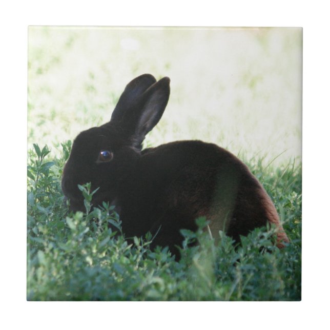 Lil Black Bunny Tile (Front)