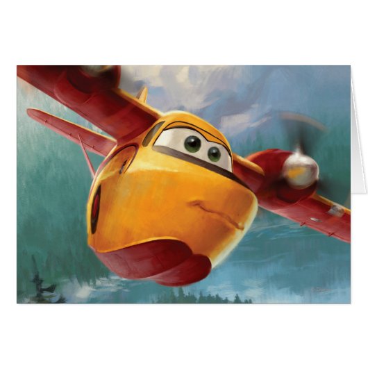 Lil' Dipper N281JH Cards (Front Horizontal)