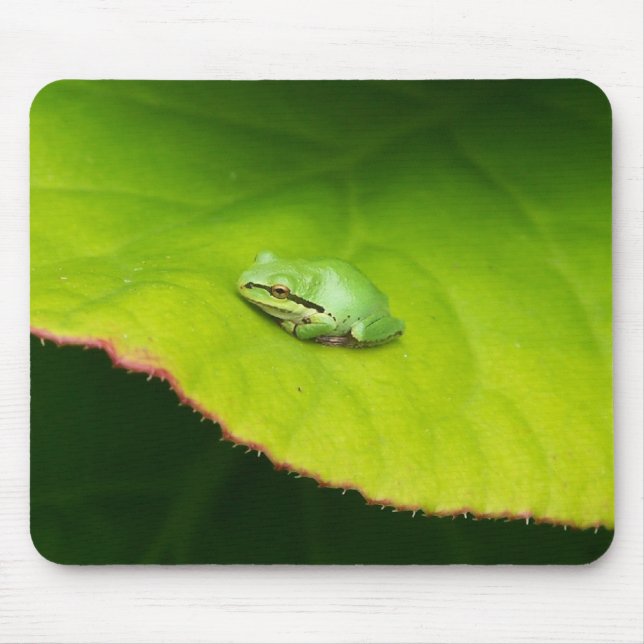 Lil' Frog Mousepad (Front)