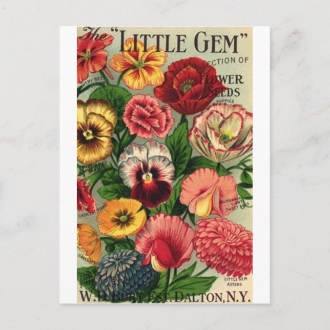 lil gem seed pack postcard (Front)