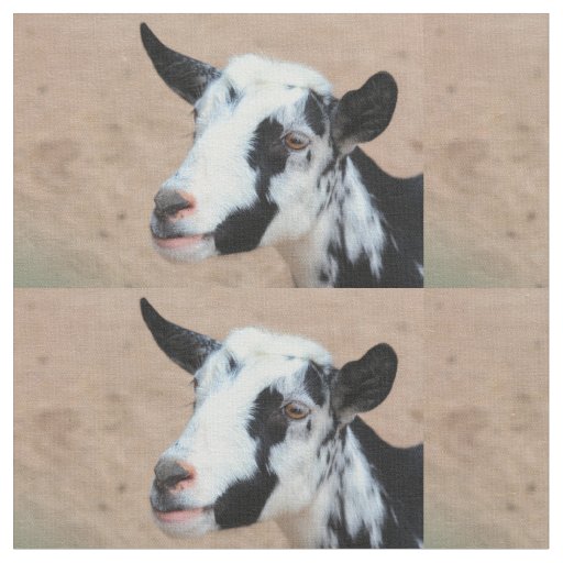 Lil goat fabric