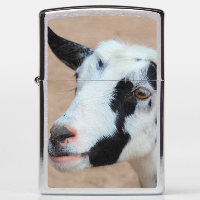 Lil goat zippo lighter (Front)