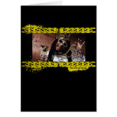 Lil Jon "King of Crunk" (Front)