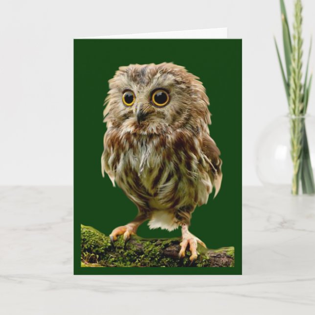 'Lil Owl Encouragement Card (Front)
