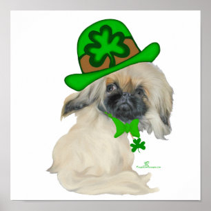 Lil Peke St Paddy Poster