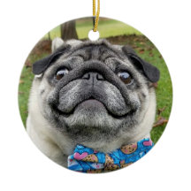 Lil Pickles Da Pug Ornament