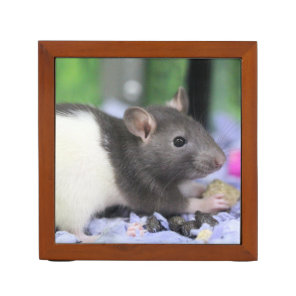 Lil rat desk organizer