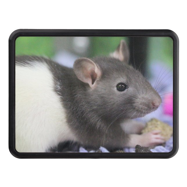 Lil rat hitch cover (Front)