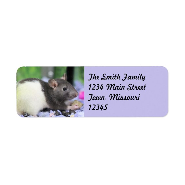 Lil rat label (Front)