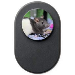 Lil rat PopSocket
