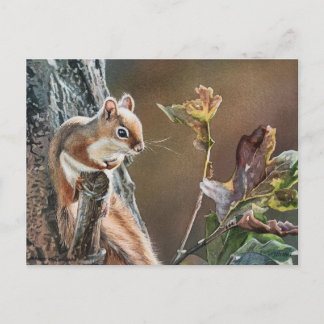 Lil Red Squirrel Oak Tree Autumn Watercolor Art Postcard
