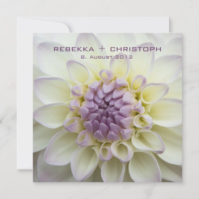 Lila Dahlie ・ wedding invitation (Front)