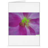 Lila striped flower pattern (Front)