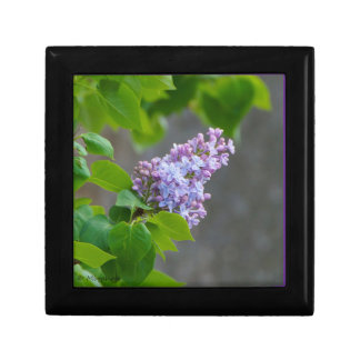 Lilac Beauty Gift Box