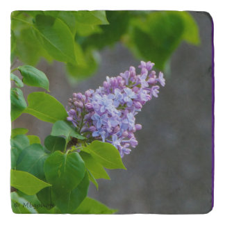 Lilac Beauty Trivet
