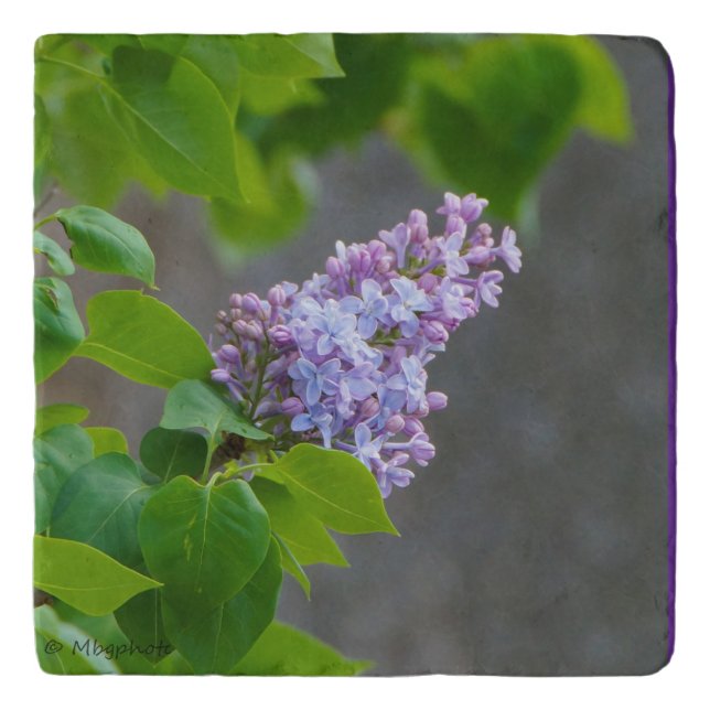 Lilac Beauty Trivet (Front)