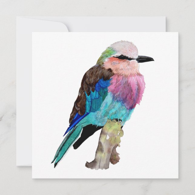 Lilac Breasted Roller Bird Holiday Card (Front)