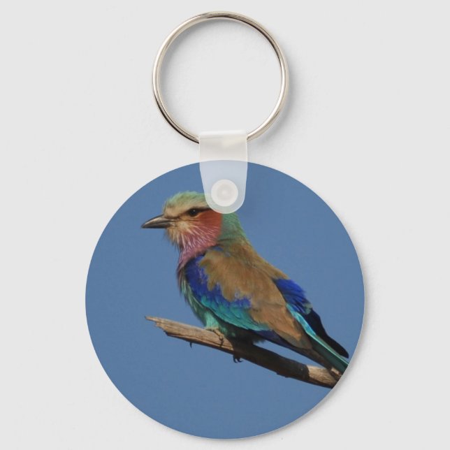 Lilac-Breasted Roller Bird Keychain (Front)