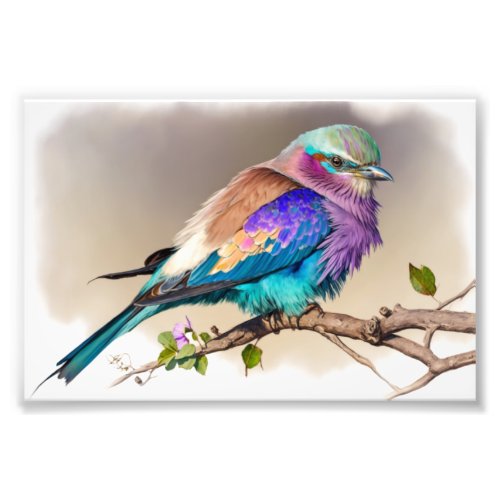 Lilac_Breasted Roller Bird Photo Print