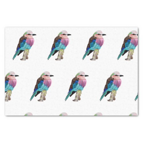 Lilac Breasted Roller Bird Tissue Paper
