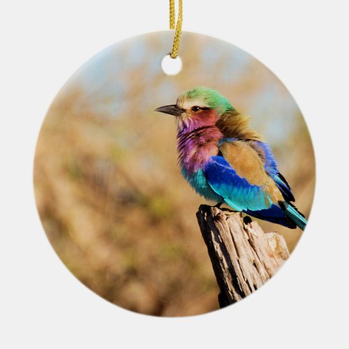 Lilac_Breasted Roller Colorful African Bird Ceramic Ornament