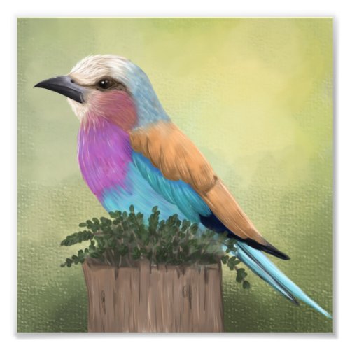 Lilac_Breasted Roller Colorful Bird Art Photo Print