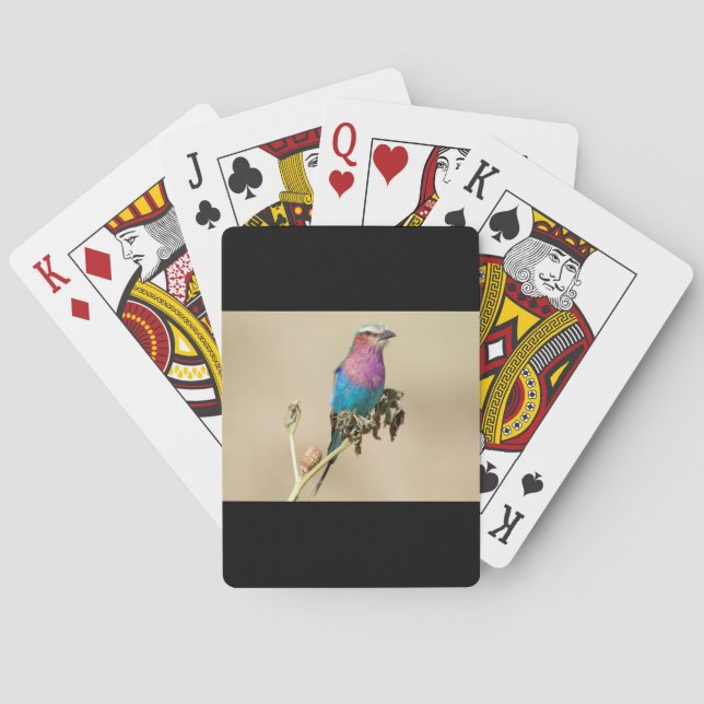Lilac breasted Roller Poker Cards (Back)