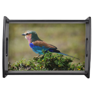 Lilac Breasted Roller Serving Tray
