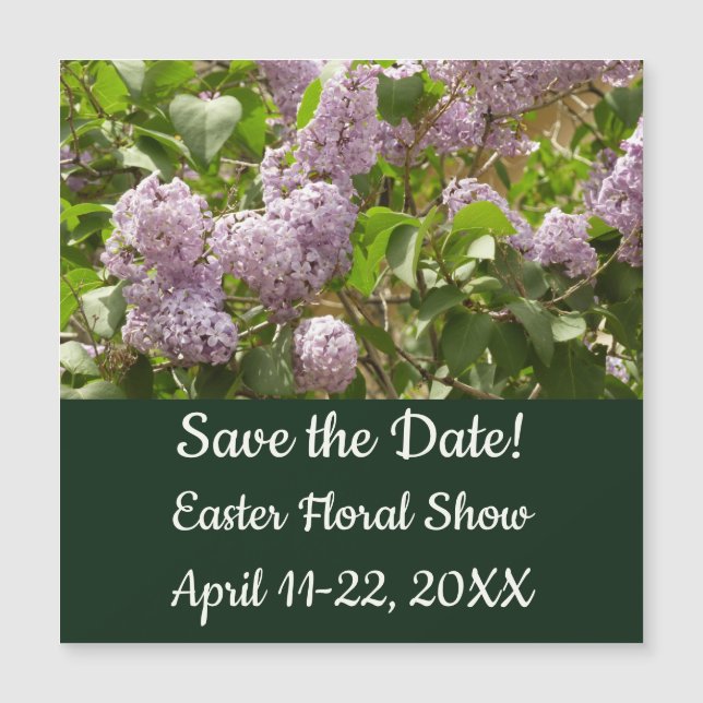 Lilac Bush Beautiful Purple Spring Flowers (Front)