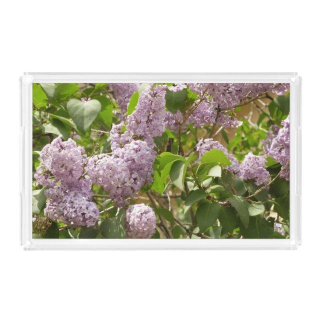 Lilac Bush Beautiful Purple Spring Flowers Acrylic Tray (Front)