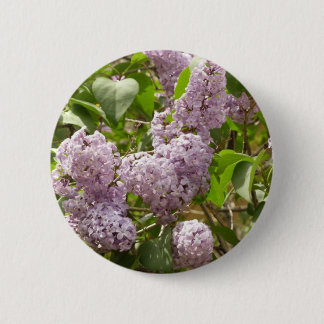 Lilac Bush Beautiful Purple Spring Flowers Button